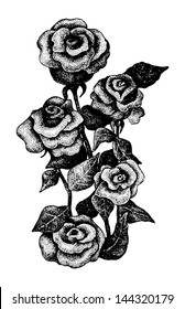 Black and white dotted hand drawn illustration of five roses