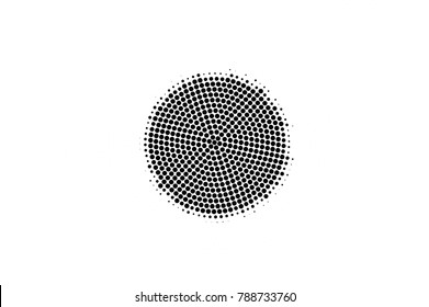 Black white dotted texture. Abstract halftone vector background. Monochrome halftone pop art design. Centered circle dotted gradient. Black ink dot vintage overlay. Minimal retro halftone template