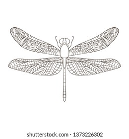 Black and white dragonfly on the white background, Could be used as a painting or coloring sheet.