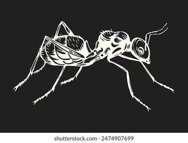 Black and white drawing of an ant crawling on a dark background.