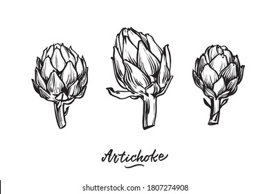 Black and white drawing of artichokes on a white background.