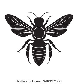 A black and white drawing of a bee