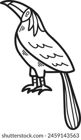 A black and white drawing of a bird with a large beak and a colorful tail. The bird is standing on one leg and looking at the camera