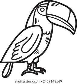 A black and white drawing of a bird with a large beak and a colorful tail. The bird is standing on one leg and looking at the camera