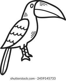 A black and white drawing of a bird with a large beak and a colorful tail. The bird is standing on one leg and looking at the camera