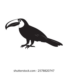 A black and white drawing of a bird with a long beak