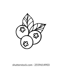 A black and white drawing of a blueberry