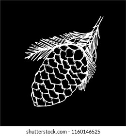 Black and white drawing of a branch with a pine cone. Beauty plant.