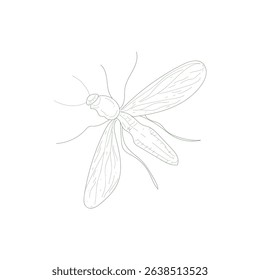 A black and white drawing of a bug with yellow wings. The bug has a black head and is drawn in a simple, minimalist style. The drawing conveys a sense of calm and serenity