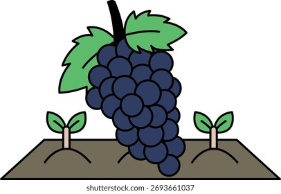 Un dibujo en blanco y negro de un racimo de uvas con una hoja en la parte superior. Las uvas están rodeadas de plantas verdes y la hoja está encima del racimo de uvas