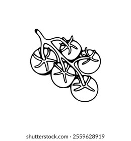 A black and white drawing of a bunch of tomatoes