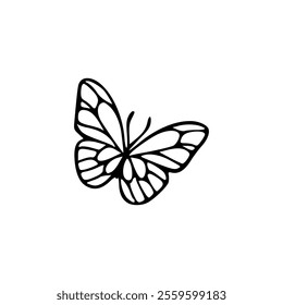 A black and white drawing of a butterfly