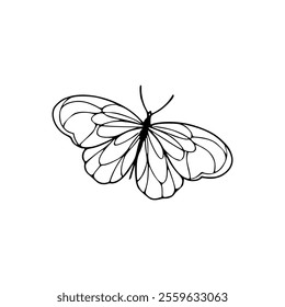 A black and white drawing of a butterfly