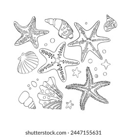 Black and white drawing of a collection of sea shells and starfish. Sea theme colouring page