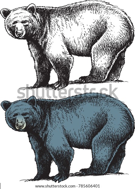 白黒の絵と熊のカラフルな絵 のベクター画像素材 ロイヤリティフリー