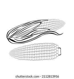 Black and white drawing of corn for coloring. Vegetables for coloring book. Vector illustration