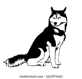 Black and white drawing of a dog sitting Siberian husky.