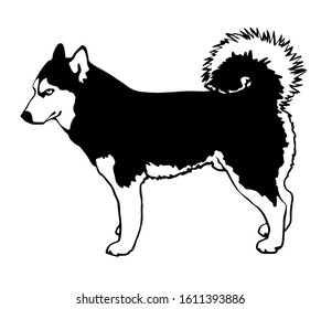 Black and white drawing of a dog standing Siberian husky.