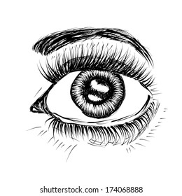 Black and white drawing of the eye. Vector