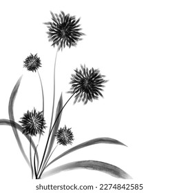 A black and white drawing of a flower with the word dandelion on it
