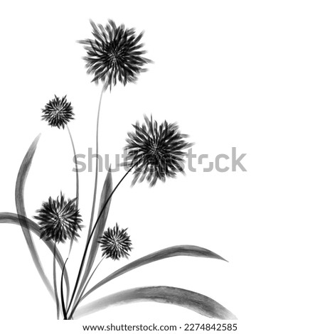 A black and white drawing of a flower with the word dandelion on it