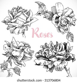 Black and white drawing of four roses