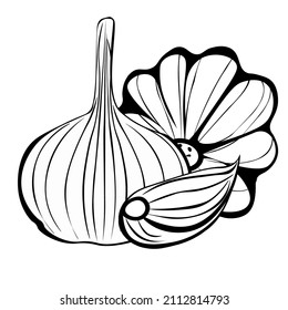 Black and white drawing of garlic for coloring. Vegetables for coloring book. Vector illustration