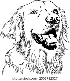 Black and white drawing of a Golden Retriever dog