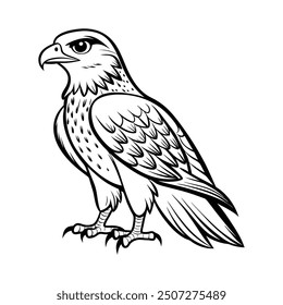 A black and white drawing of a hawk bird