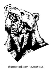 Black and white drawing of the head of the wild bear