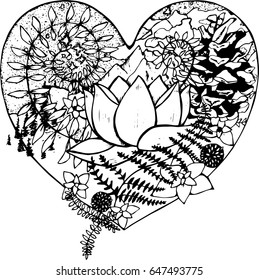 Black and white drawing of the heart, in which the lotus, fern, cone, mountains, clouds, trees.