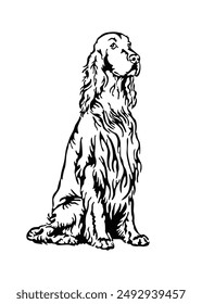 Black and white drawing of Irish Setter dog breed animal silhouette vector illustration