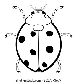 Black and white drawing of a ladybug for coloring. Insect for coloring book. Vector illustration
