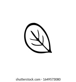 Black and white drawing of a leaf. Hand-drawn linear illustration for the design of holidays, cards, logos, children's rooms.