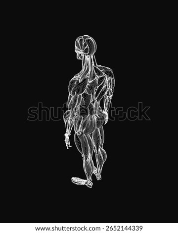 A black and white drawing of a man's torso highlights detailed musculature and skeletal contours. The intricate lines emphasize anatomical precision against a solid black background.