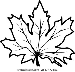 A black and white drawing of a maple leaf