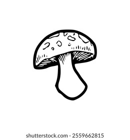 A black and white drawing of a mushroom