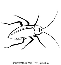 Black and white drawing of a Mustachioed cockroach for coloring. Insect for coloring book. Vector illustration