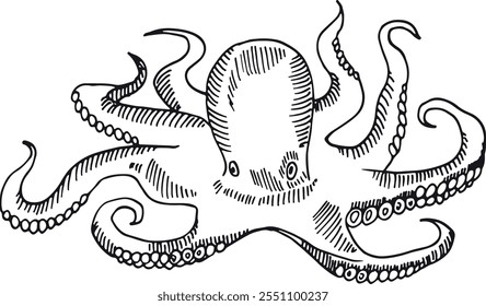 A black and white drawing of an octopus with its tentacles spread out
