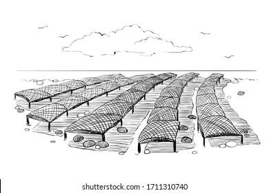 Black and white drawing on the theme of shellfish farming. Illustration of the Norman method of growing oysters. Vector graphics of an oyster farm in San Miguel Bay.