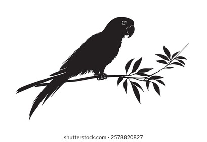 A black and white drawing of a parrot sitting on a branch