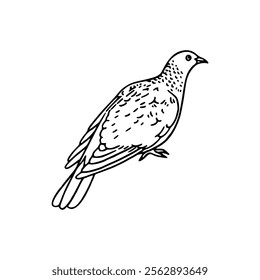 A black and white drawing of a pigeon