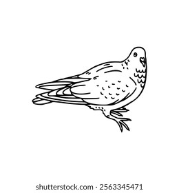 A black and white drawing of a pigeon