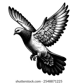 A black and white drawing of a pigeon flying in the air. The bird has a white head and a black body. The wings are spread wide, and the bird appears to be soaring through the sky