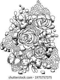 Black and white drawing of plants, florarium, moss, succulents, roses.