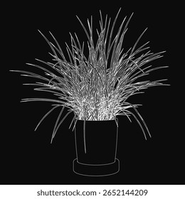Um desenho preto e branco de uma planta em vaso com folhas longas e finas e pequenas flores redondas. O pote cilíndrico simples tem uma base larga e pescoço estreito. Contraste intenso entre a planta branca.