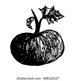 black and white drawing of a pumpkin by hand