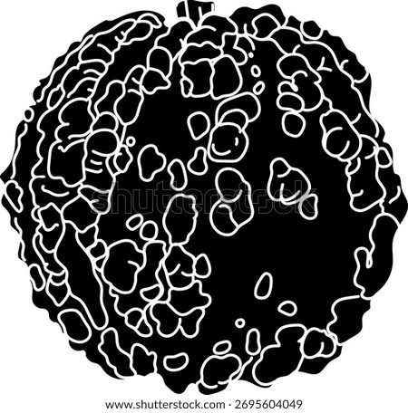 Black and white drawing of a pumpkin with an unusual surface covered with warts	