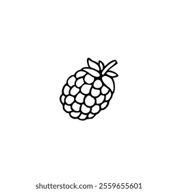 A black and white drawing of a raspberry