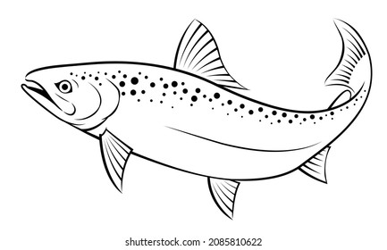 Black and white drawing of a salmon fish on a white background.